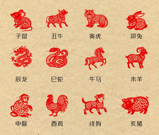 十二生肖剪纸图案展示