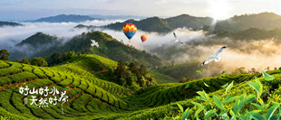 茶山