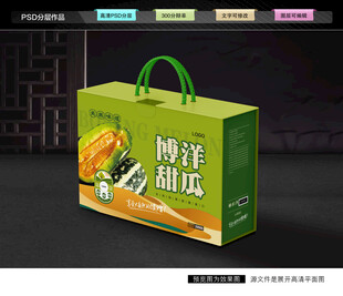 博洋甜瓜礼盒 蜜瓜包装