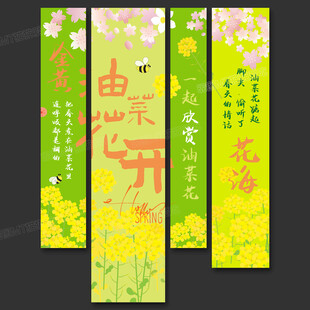 油菜花