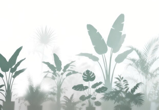 雾气磨砂膜效果绿植贴图
