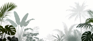 雾气磨砂膜效果绿植贴图 