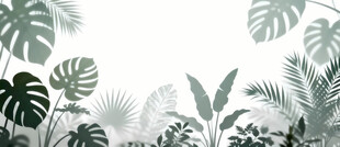 雾气磨砂膜效果绿植贴图