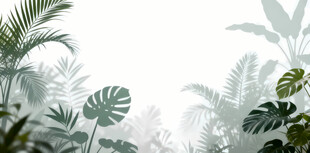 雾气磨砂膜效果绿植贴图