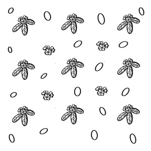 手绘线条植物图案元素