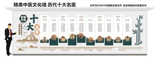 中医文化墙 十大名医