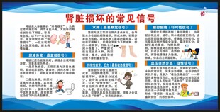 世界肾脏日宣传栏