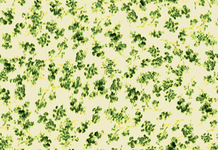 绿色三叶草图案背景纹理