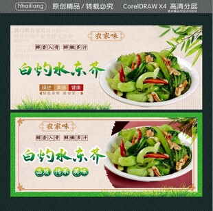 白灼水东芥