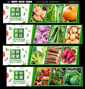 多样新鲜蔬菜展示