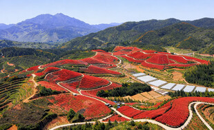 山间红土地田园美景