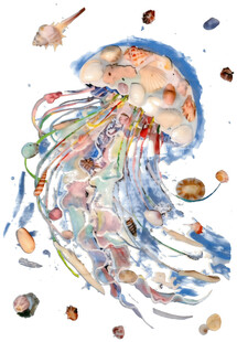 梦幻水母与海洋小生物