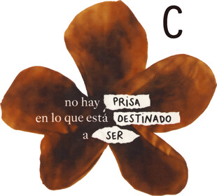 棕色花朵图案与文字信息