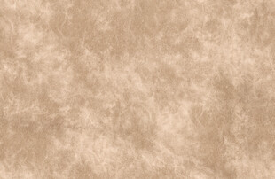 浅棕色纹理背景图