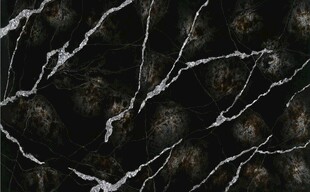 黑色银白龙大理石石纹