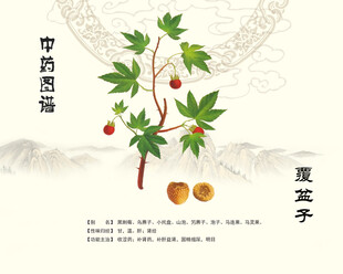 覆盆子