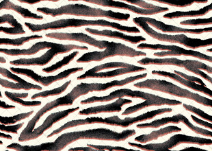 斑马纹图案纹理