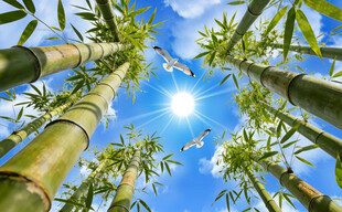 蓝天白云打印源文件