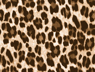 豹纹图案纹理背景