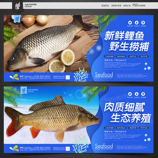 鲤鱼