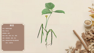 中草药绿豆