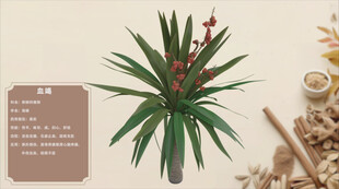 中草药血蝎