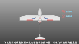 稳定性与操纵