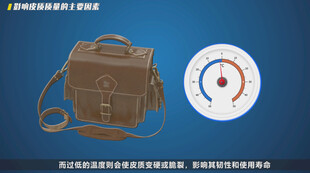 影响皮质质量的主要因素