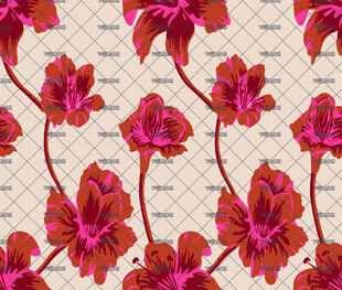 大牌 方巾   定位花