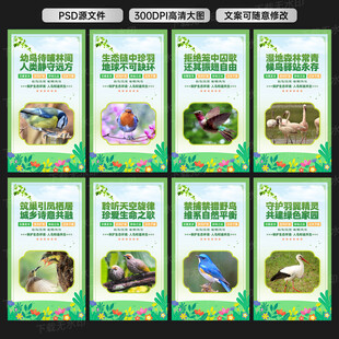 保护鸟类