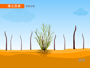 园林堆土压条