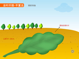 平置法