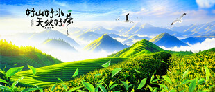 茶山