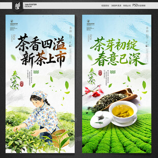 春茶海报