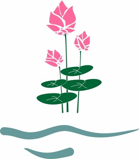 荷花