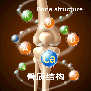 膝盖骨质结构与元素示意