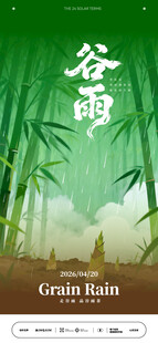 谷雨时节竹林清新景象