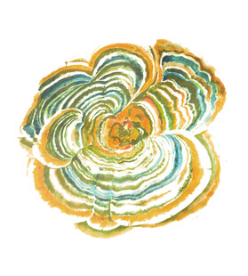 多彩螺旋纹理艺术图案