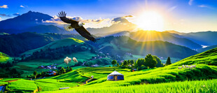 绿水青山乡村牧场