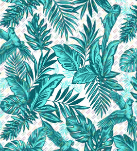 热带植物图案清新风背景