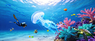 海底世界水母