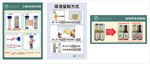 医院尿液留取方式流程说明