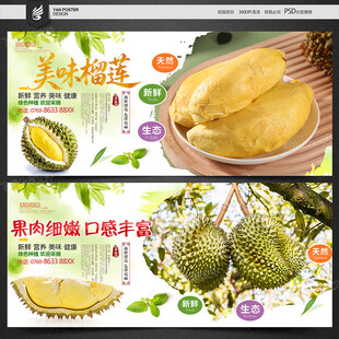 榴莲海报