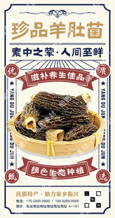 羊肚菌海报