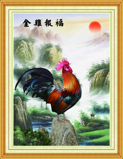金鸡报福