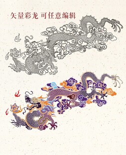 矢量龙