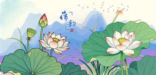 莲花夏日荷塘荷花美景