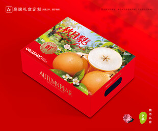 秋月梨礼盒 梨包装