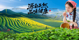 采茶