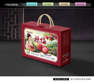 杨梅礼盒